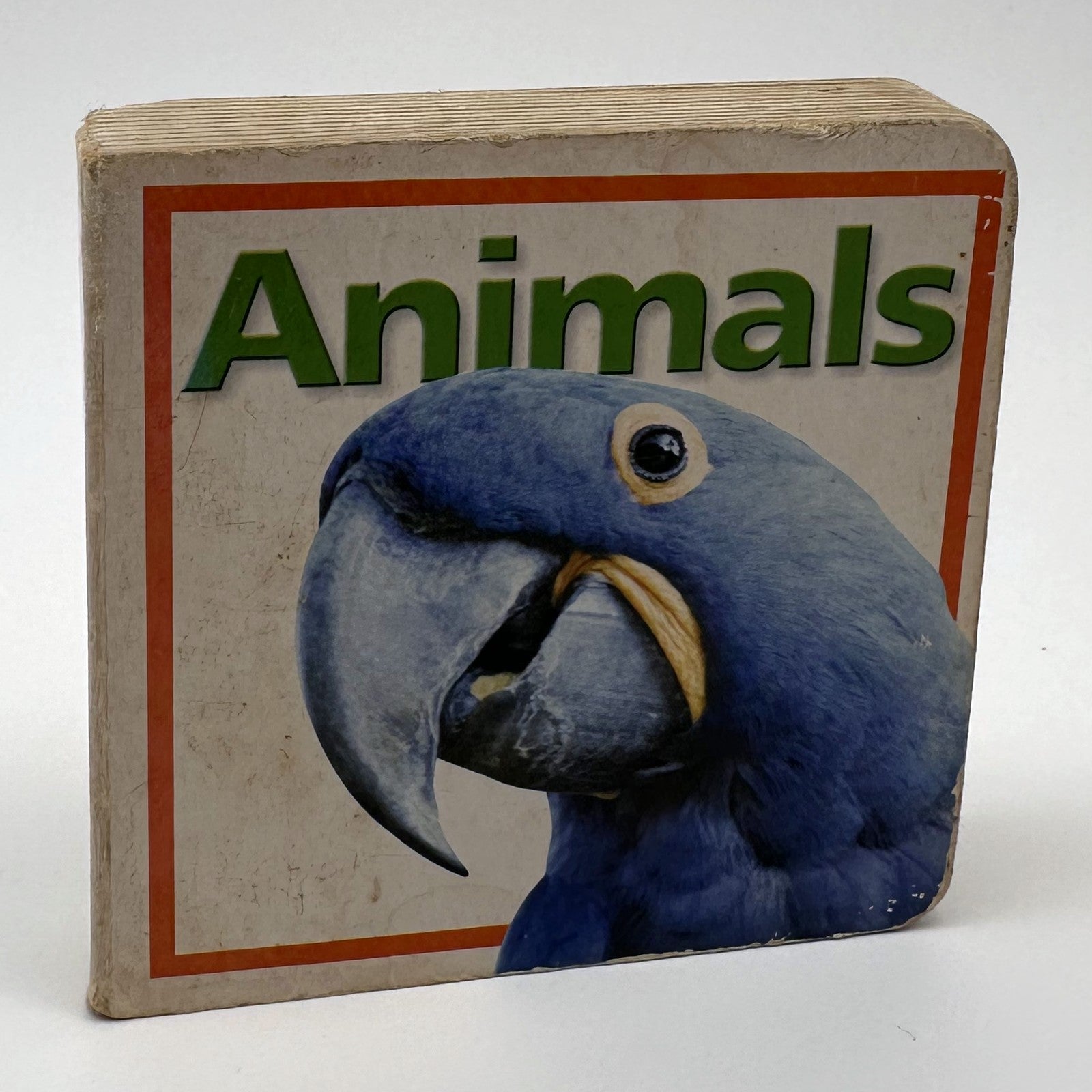 Animals · photographic board book
