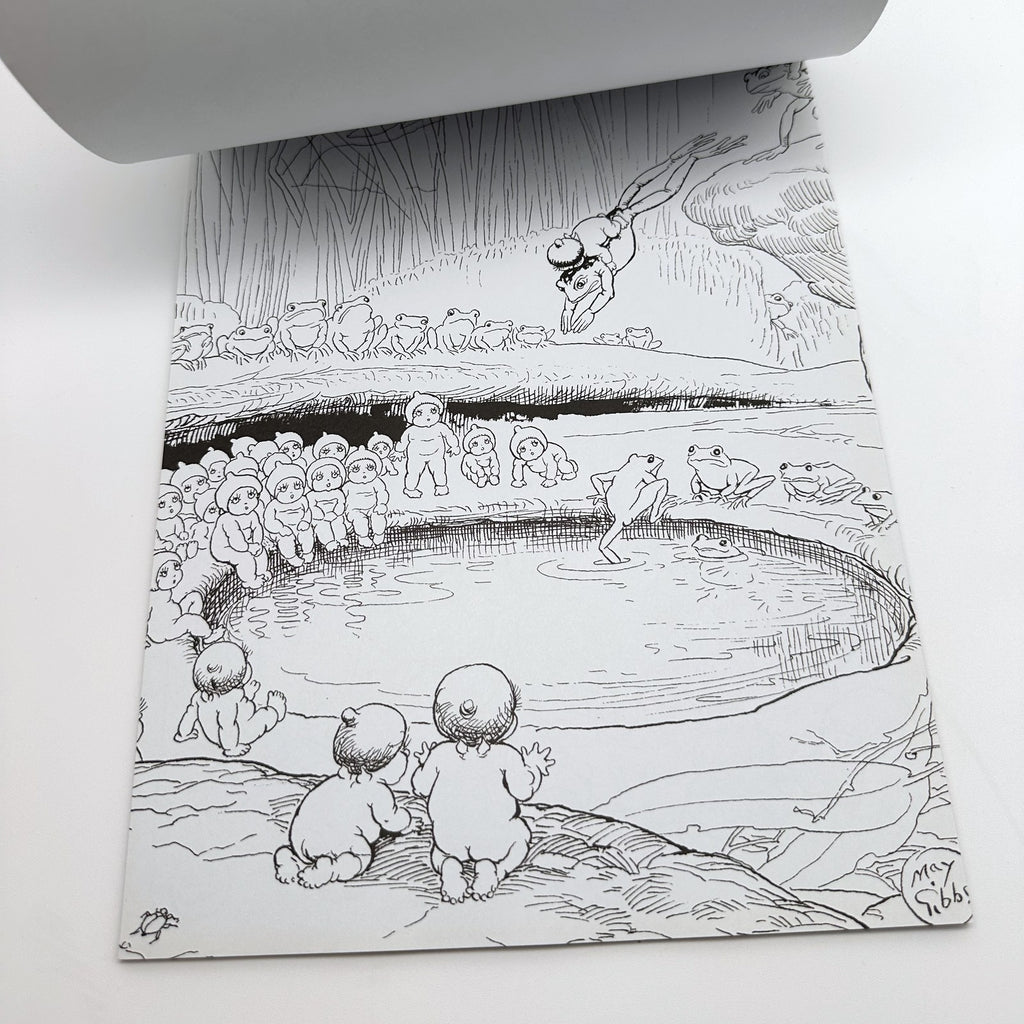 Colouring Pads Pair · Marvel + May Gibbs