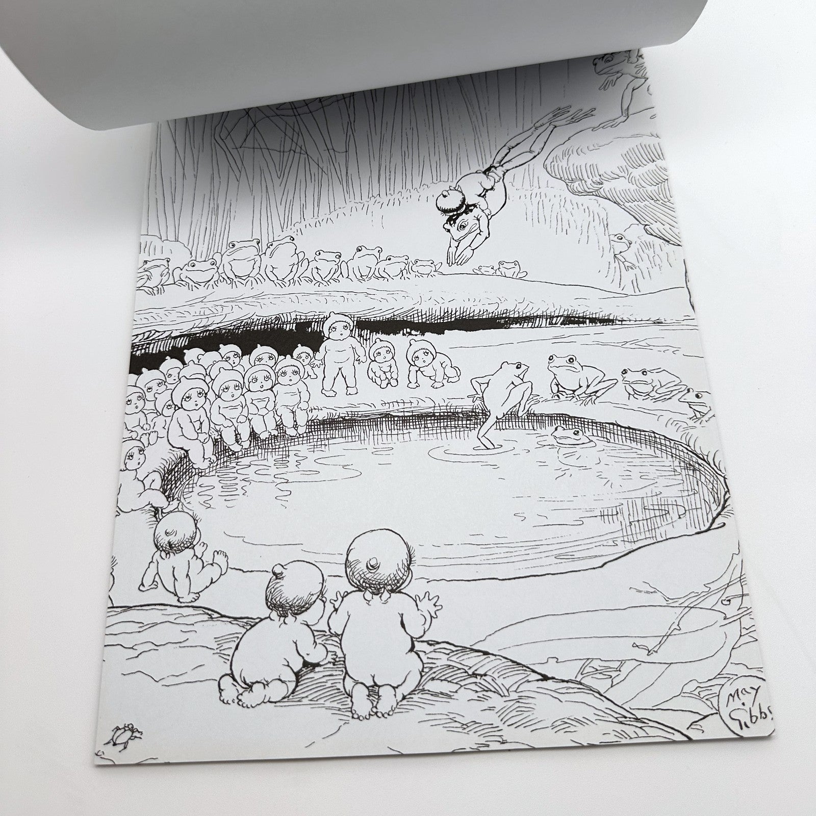 Colouring Pads Pair · Marvel + May Gibbs