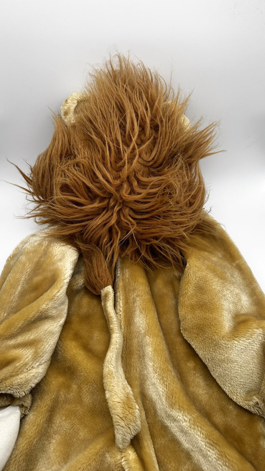 Lion Dress-Up Onesie · plush hooded costume
