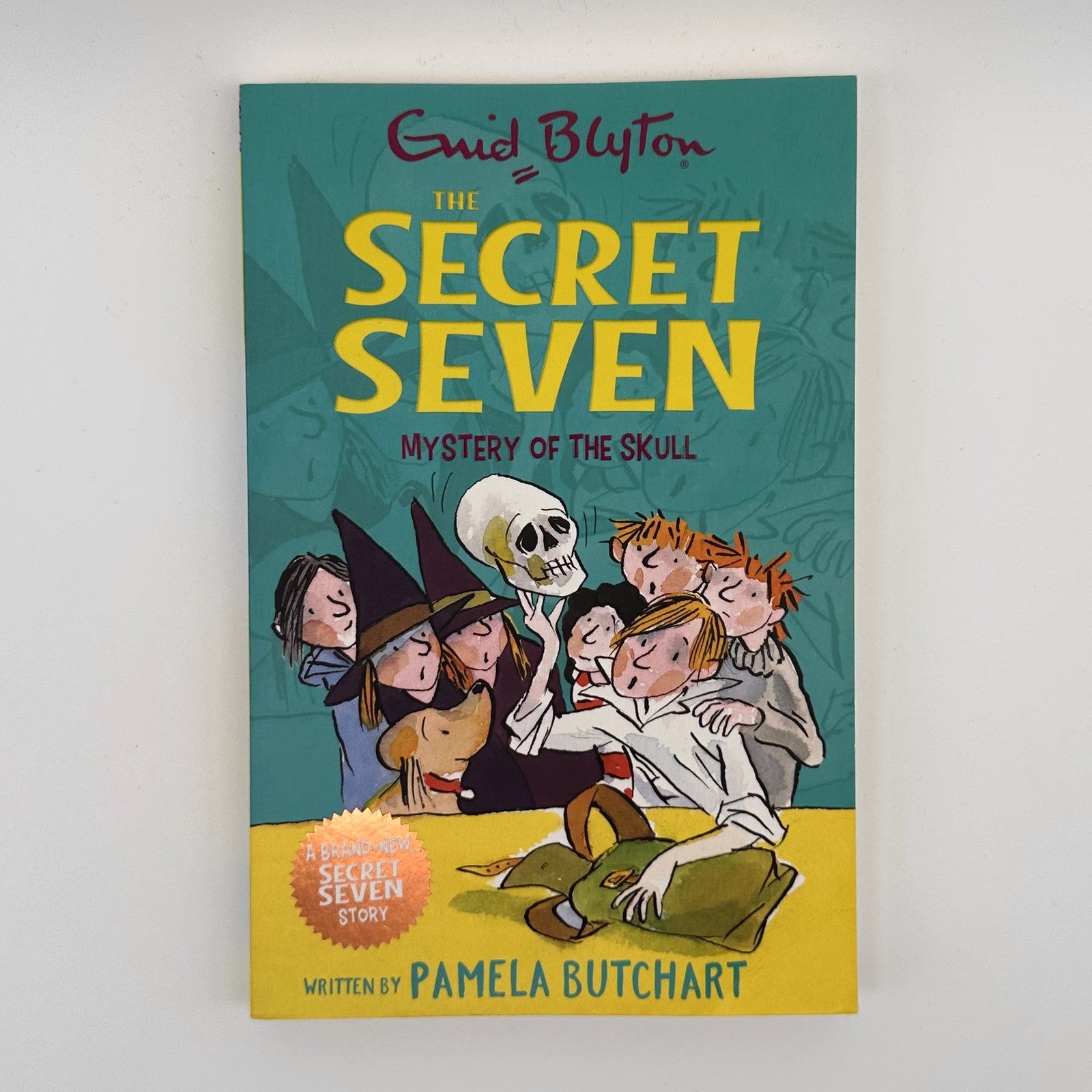 The Secret Seven: Mystery of the Skull · Pamela Butchart