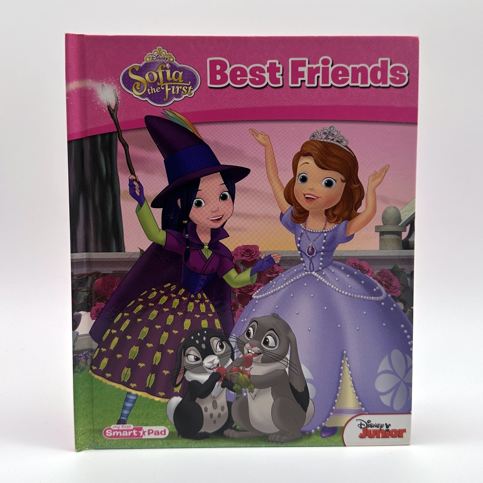 Disney Junior Smart Pad Library · 8 hardcover books