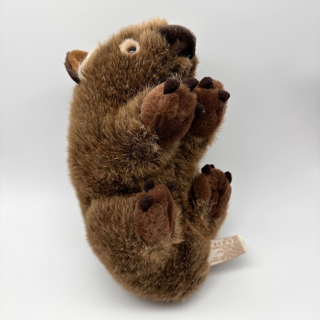 Wombat Plush · Aussie Native