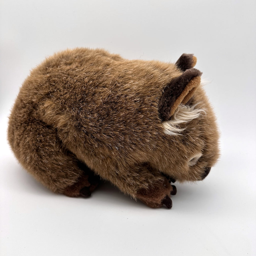 Wombat Plush · Aussie Native